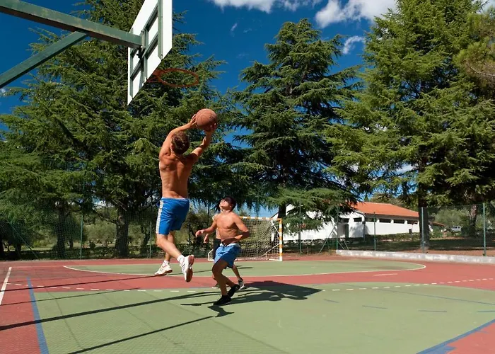 홀리데이파크 Koversada